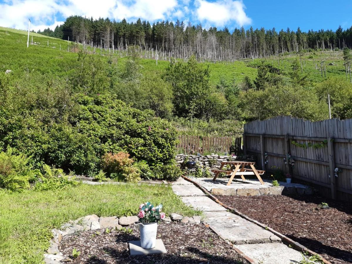 Afan Valley Home - Contractor Accommodation Port Talbot Luaran gambar