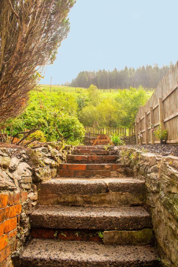 Afan Valley Home - Contractor Accommodation Port Talbot Luaran gambar