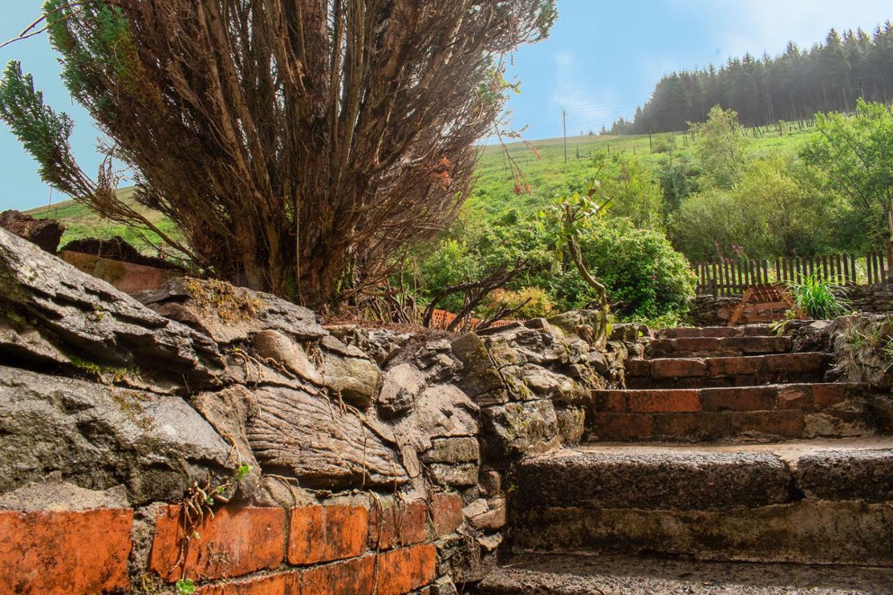 Afan Valley Home - Contractor Accommodation Port Talbot Luaran gambar